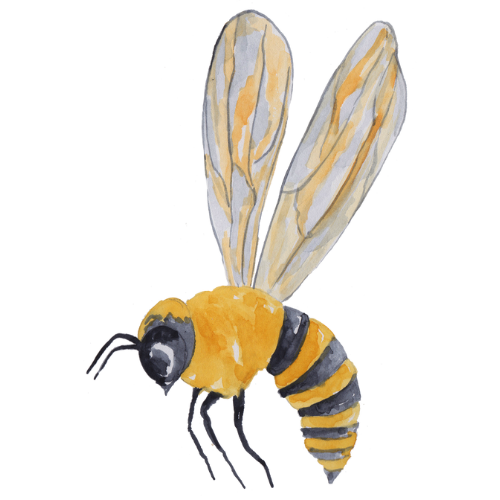 Landwirtschaft,Nachhaltig,Ackerbau,Bienen